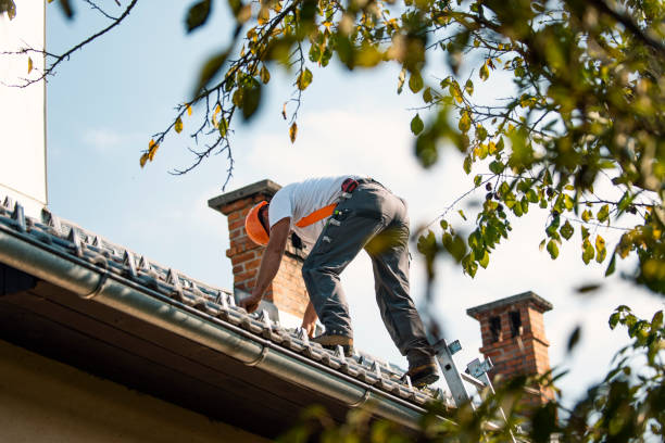 Quick and Trustworthy Emergency Roof Repair Services in Stevenson, AL