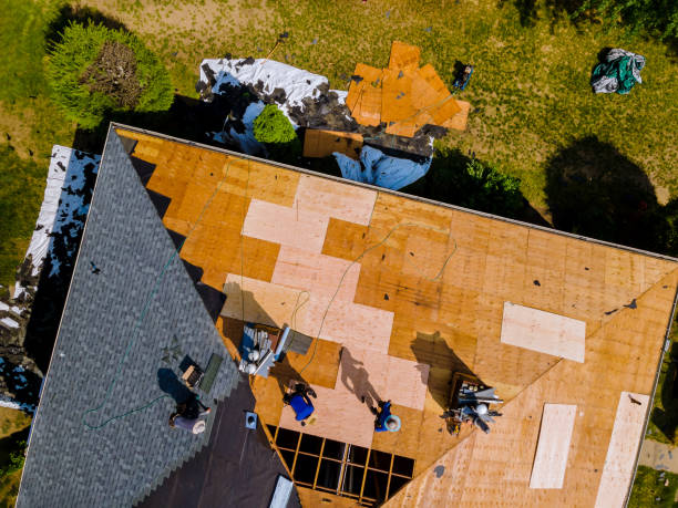 Best Roof Repair Services  in Stevenson, AL
