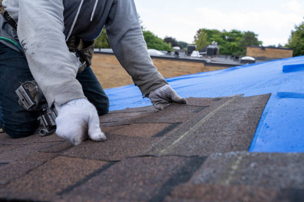 Best Storm Damage Roof Repair  in Stevenson, AL