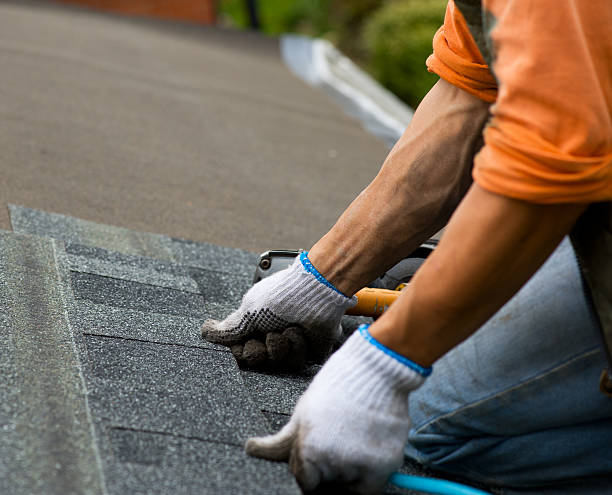 Best Local Roofing Companies  in Stevenson, AL