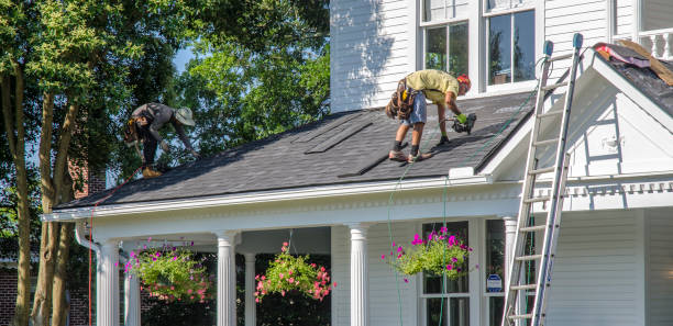 Best Roof Gutter Cleaning  in Stevenson, AL
